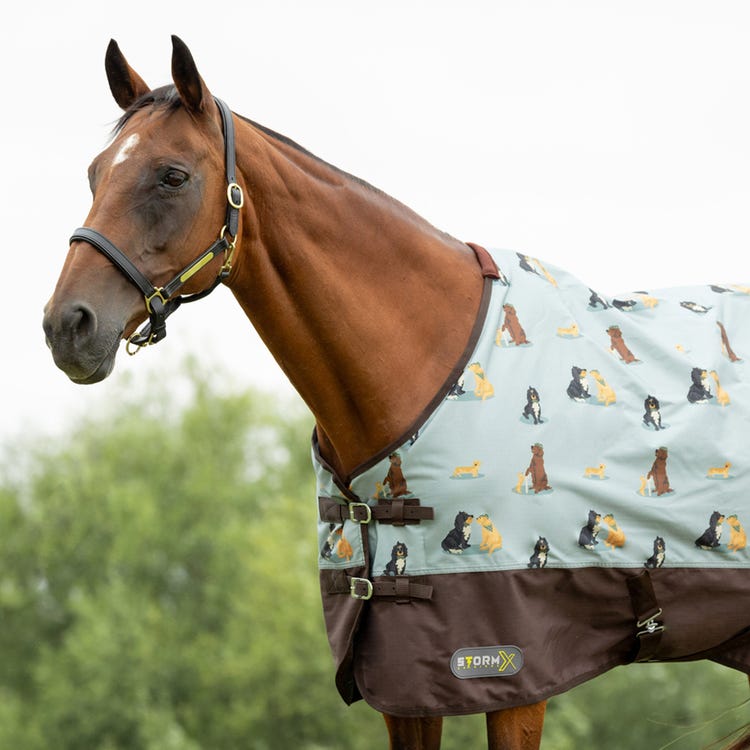 StormX Original It's A Dogs Life 0 Turnout Rug image 2